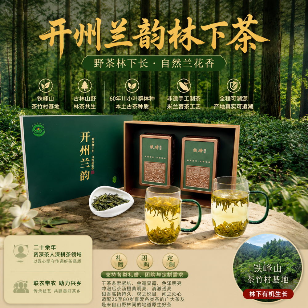 一叶藏山韵｜开州茶竹村铁峰山：60 年川小叶古茶树，解锁林下茶产业振兴密码